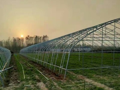 ARCHED GREENHOUSE